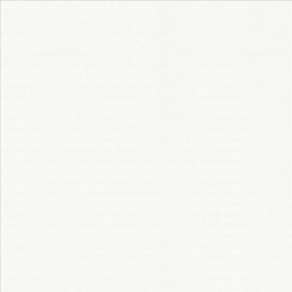 Perception Arctic by Kasmir Fabric 5174 100% Cotton
 INDIA 21,000 Wyzenbeek Double Rubs </p><p>Repeat: Horizontal: N/A and Vertical: N/A 54 - Fabric Carolina -