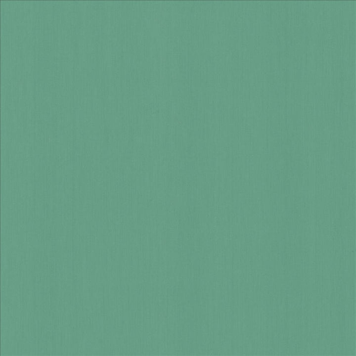Perception Azure by Kasmir Fabric 5174 100% Cotton
 INDIA 21,000 Wyzenbeek Double Rubs Horizontal: N/A and Vertical: N/A 54 - Fabric Carolina -