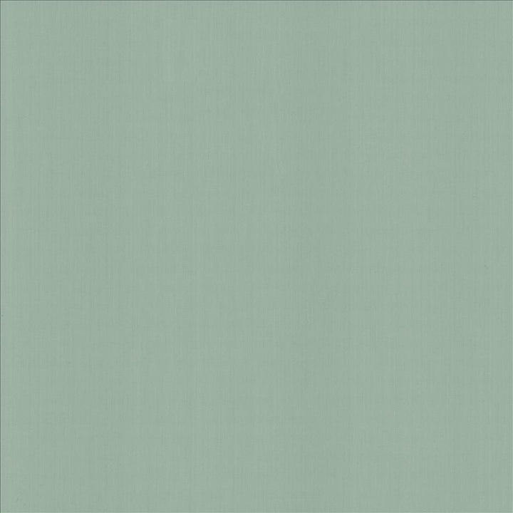Perception Baltic by Kasmir Fabric 5174 100% Cotton
 INDIA </p><p>Repeat: Horizontal: N/A and Vertical: N/A 54 - Fabric Carolina -