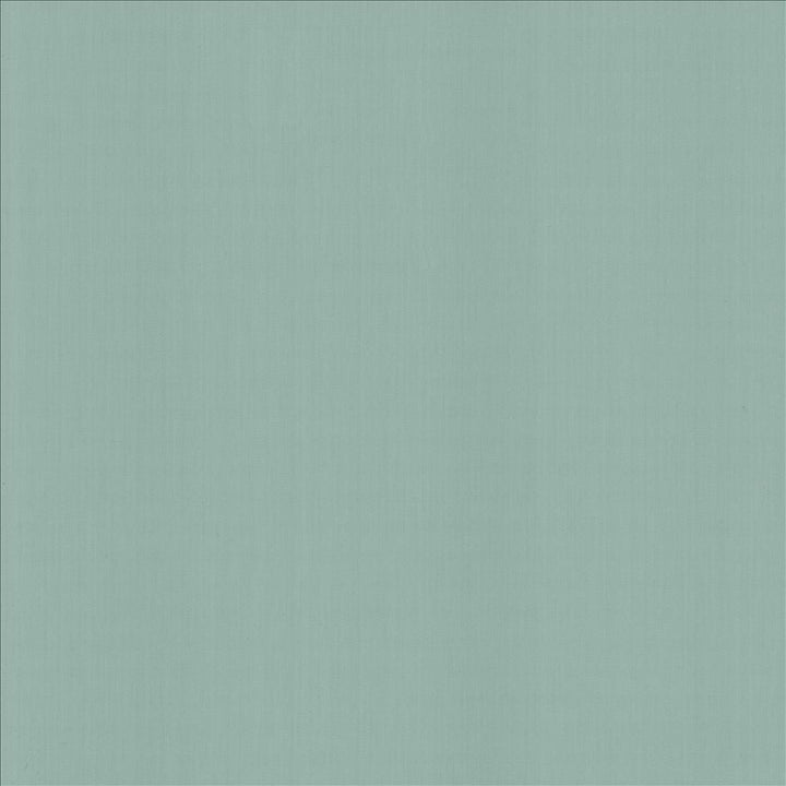 Perception Baltic  by Kasmir Fabric See sample 100% Cotton
 INDIA 21,000 Wyzenbeek Double Rubs </p><p>Repeat: Horizontal: N/A and Vertical: N/A 54  - Fabric Carolina -