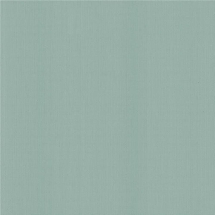 Perception Baltic by Kasmir Fabric 5174 100% Cotton
 INDIA 21,000 Wyzenbeek Double Rubs </p><p>Repeat: Horizontal: N/A and Vertical: N/A 54 - Fabric Carolina -