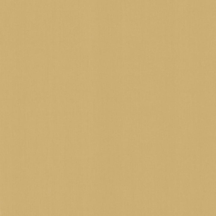 Perception Cashew by Kasmir Fabric 5174 100% Cotton
 INDIA </p><p>Repeat: Horizontal: N/A and Vertical: N/A 54 - Fabric Carolina -