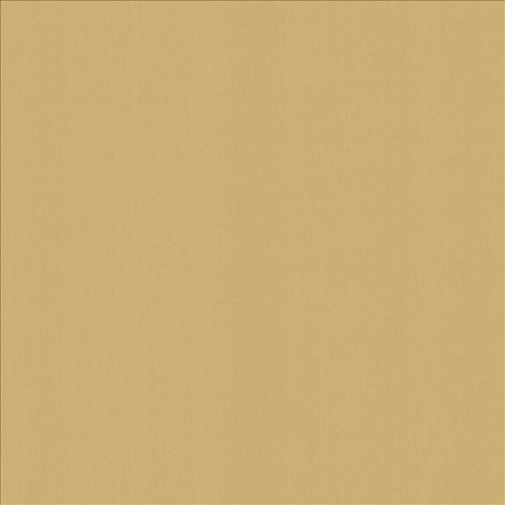 Perception Cashew by Kasmir Fabric 5174 100% Cotton
 INDIA 21,000 Wyzenbeek Double Rubs </p><p>Repeat: Horizontal: N/A and Vertical: N/A 54 - Fabric Carolina -