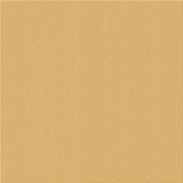 Perception Cashew by Kasmir Fabric 5174 100% Cotton
 INDIA </p><p>Repeat: Horizontal: N/A and Vertical: N/A 54 - Fabric Carolina -