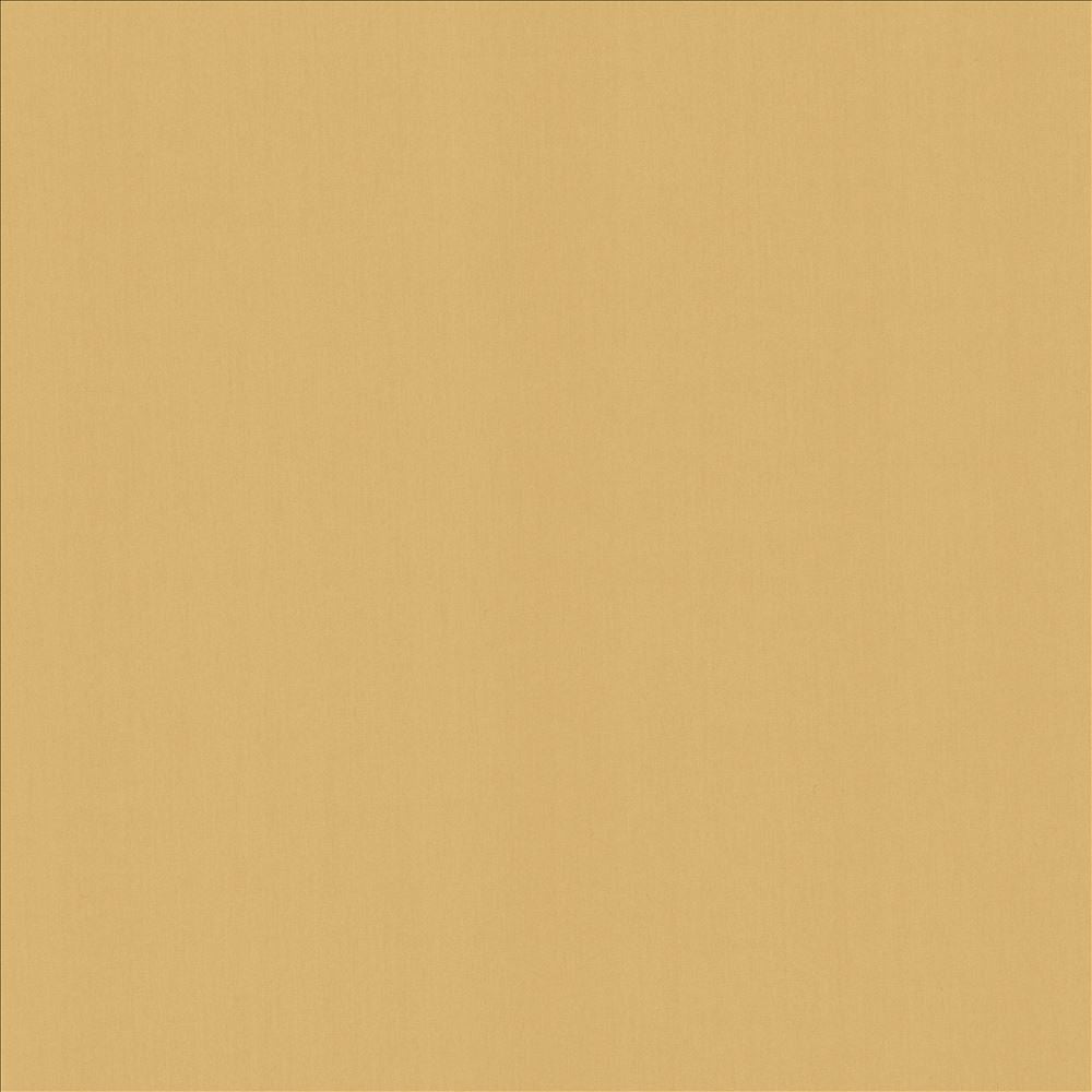 Perception Cashew by Kasmir Fabric 5174 100% Cotton
 INDIA </p><p>Repeat: Horizontal: N/A and Vertical: N/A 54 - Fabric Carolina -