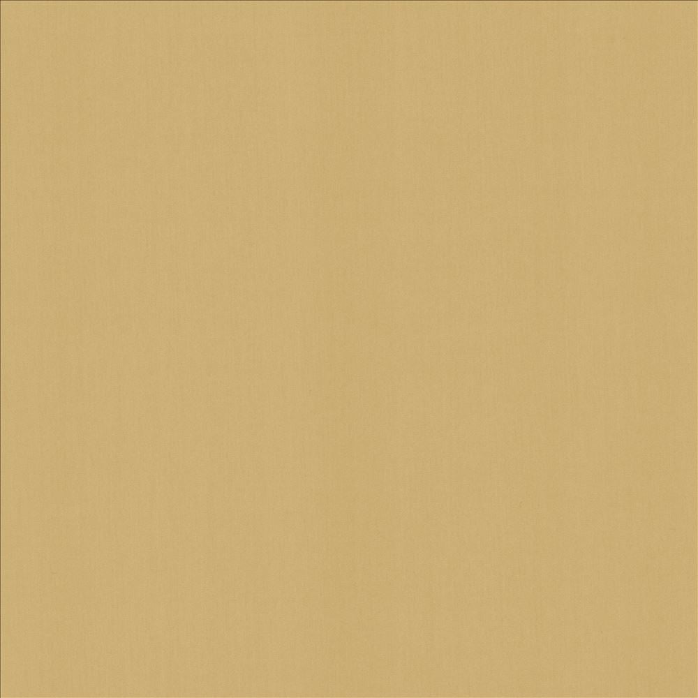 Perception Cashew by Kasmir Fabric 5174 100% Cotton
 INDIA 21,000 Wyzenbeek Double Rubs Horizontal: N/A and Vertical: N/A 54 - Fabric Carolina -