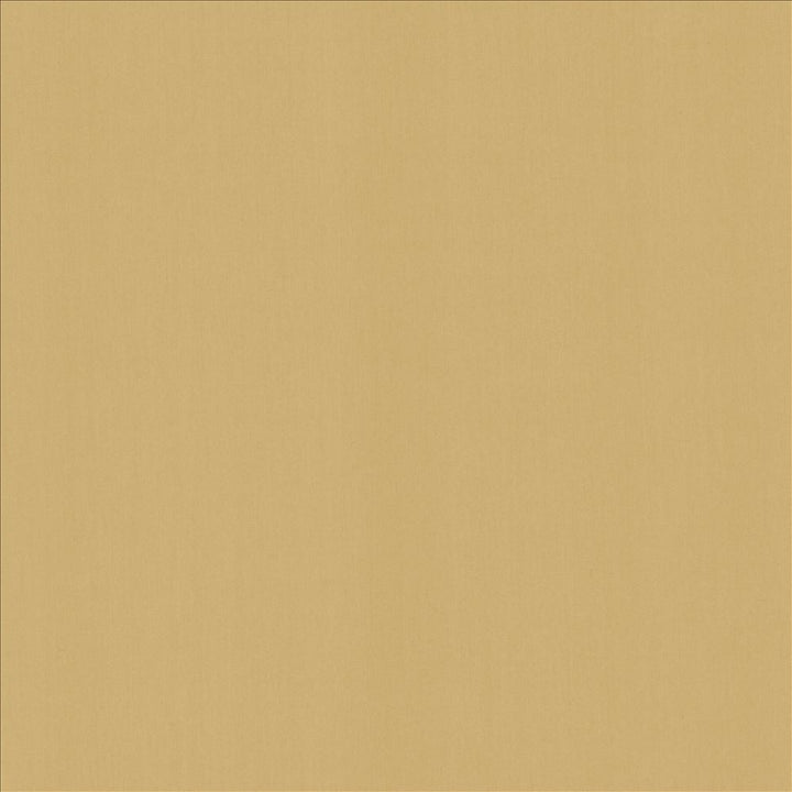 Perception Cashew  by Kasmir Fabric See sample 100% Cotton
 INDIA 21,000 Wyzenbeek Double Rubs </p><p>Repeat: Horizontal: N/A and Vertical: N/A 54  - Fabric Carolina -