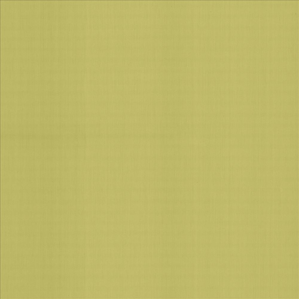 Perception Celery by Kasmir Fabric 5174 100% Cotton
 INDIA </p><p>Repeat: Horizontal: N/A and Vertical: N/A 54 - Fabric Carolina -