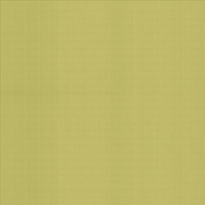 Perception Celery by Kasmir Fabric 5174 100% Cotton
 INDIA </p><p>Repeat: Horizontal: N/A and Vertical: N/A 54 - Fabric Carolina -