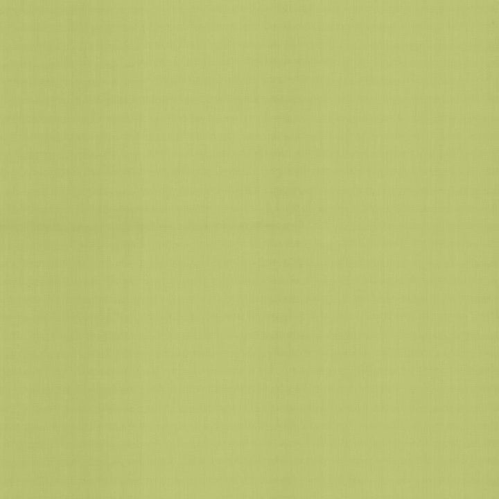 Perception Celery by Kasmir Fabric 5174 100% Cotton
 INDIA </p><p>Repeat: Horizontal: N/A and Vertical: N/A 54 - Fabric Carolina -