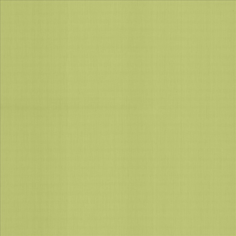 Perception Celery by Kasmir Fabric 5174 100% Cotton
 INDIA 21,000 Wyzenbeek Double Rubs Horizontal: N/A and Vertical: N/A 54 - Fabric Carolina -