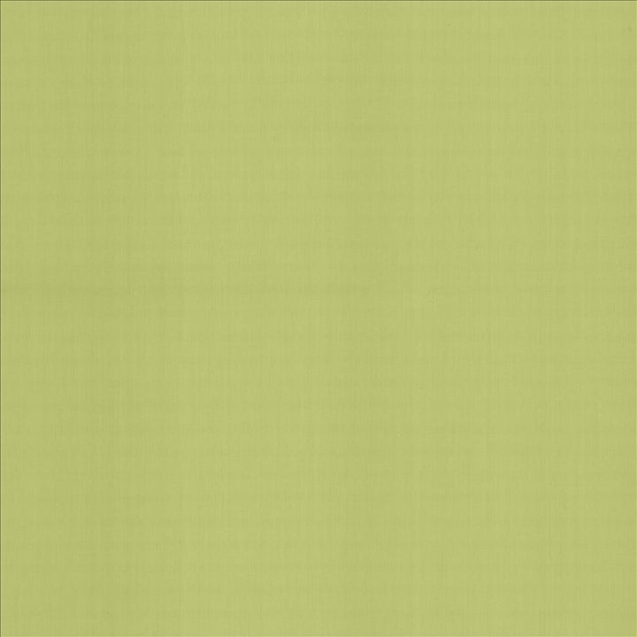 Perception Celery by Kasmir Fabric 5174 100% Cotton
 INDIA 21,000 Wyzenbeek Double Rubs Horizontal: N/A and Vertical: N/A 54 - Fabric Carolina -