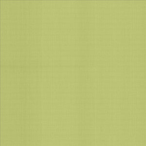 Perception Celery by Kasmir Fabric