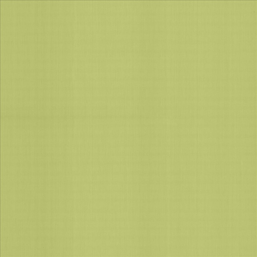 Perception Celery by Kasmir Fabric 5174 100% Cotton
 INDIA 21,000 Wyzenbeek Double Rubs </p><p>Repeat: Horizontal: N/A and Vertical: N/A 54 - Fabric Carolina -