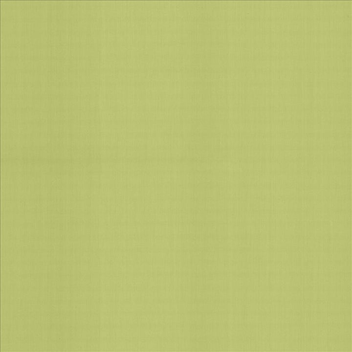 Perception Celery by Kasmir Fabric 5174 100% Cotton
 INDIA 21,000 Wyzenbeek Double Rubs </p><p>Repeat: Horizontal: N/A and Vertical: N/A 54 - Fabric Carolina -