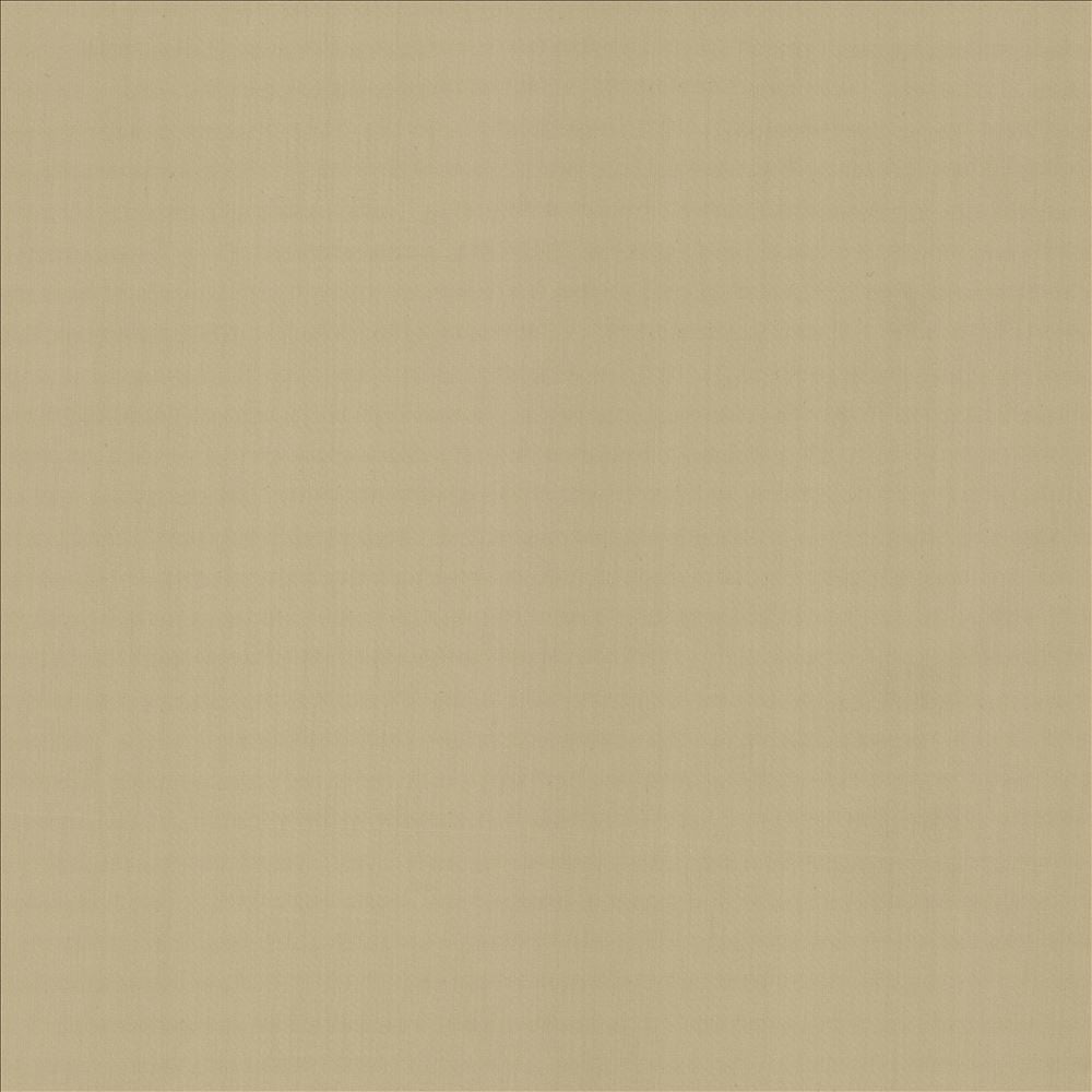 Perception Cement by Kasmir Fabric 5174 100% Cotton
 INDIA </p><p>Repeat: Horizontal: N/A and Vertical: N/A 54 - Fabric Carolina -