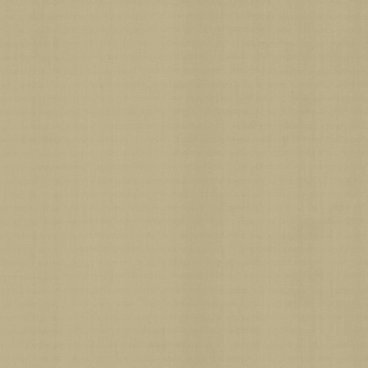 Perception Cement by Kasmir Fabric 5174 100% Cotton
 INDIA </p><p>Repeat: Horizontal: N/A and Vertical: N/A 54 - Fabric Carolina -