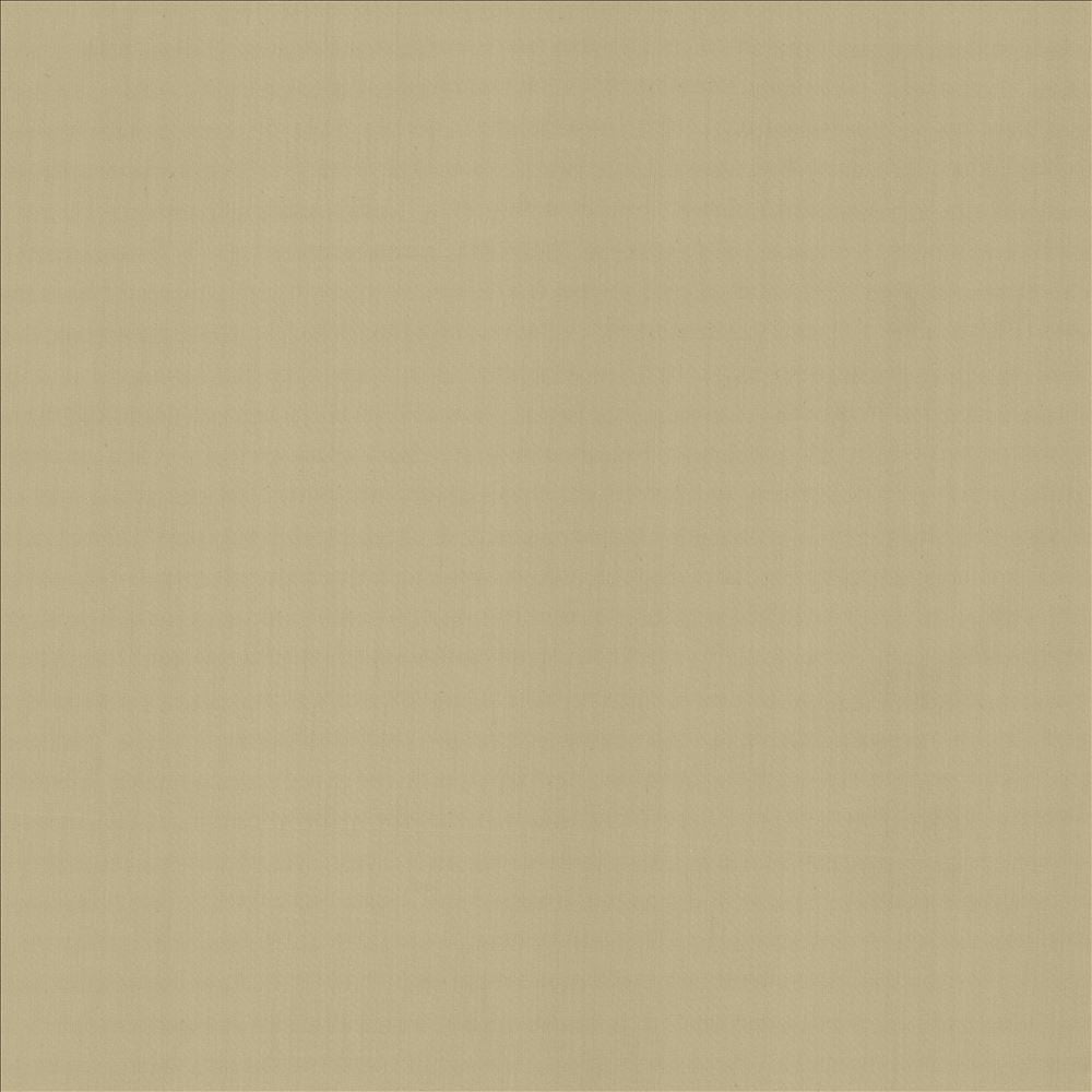 Perception Cement  by Kasmir Fabric See sample 100% Cotton
 INDIA 21,000 Wyzenbeek Double Rubs </p><p>Repeat: Horizontal: N/A and Vertical: N/A 54  - Fabric Carolina -
