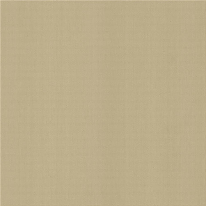 Perception Cement by Kasmir Fabric 5174 100% Cotton
 INDIA </p><p>Repeat: Horizontal: N/A and Vertical: N/A 54 - Fabric Carolina -
