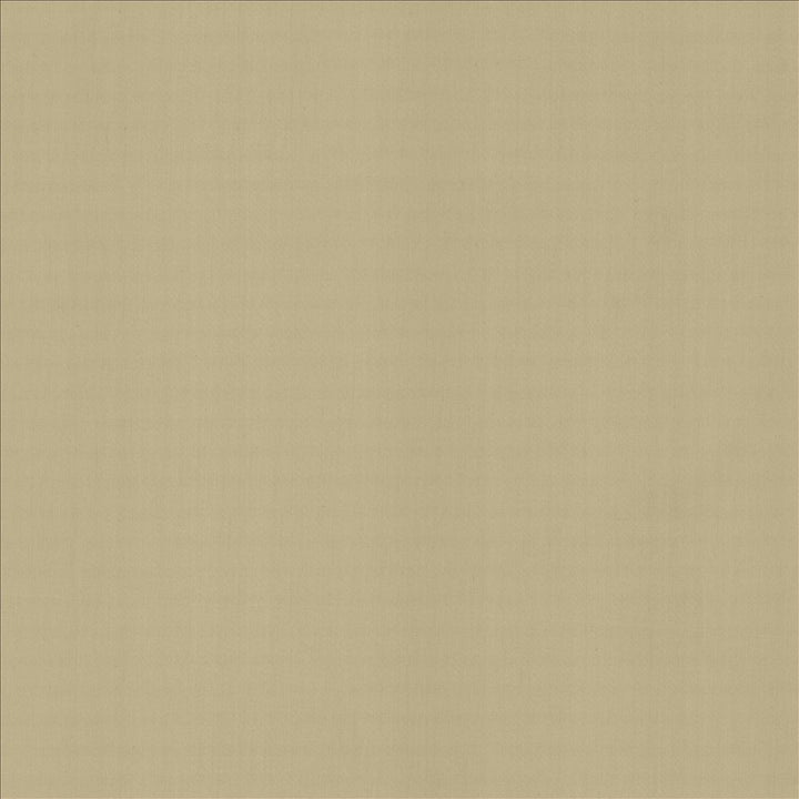 Perception Cement by Kasmir Fabric 5174 100% Cotton
 INDIA 21,000 Wyzenbeek Double Rubs Horizontal: N/A and Vertical: N/A 54 - Fabric Carolina -