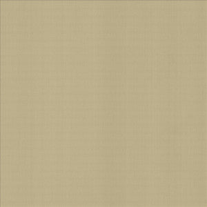 Perception Cement by Kasmir Fabric