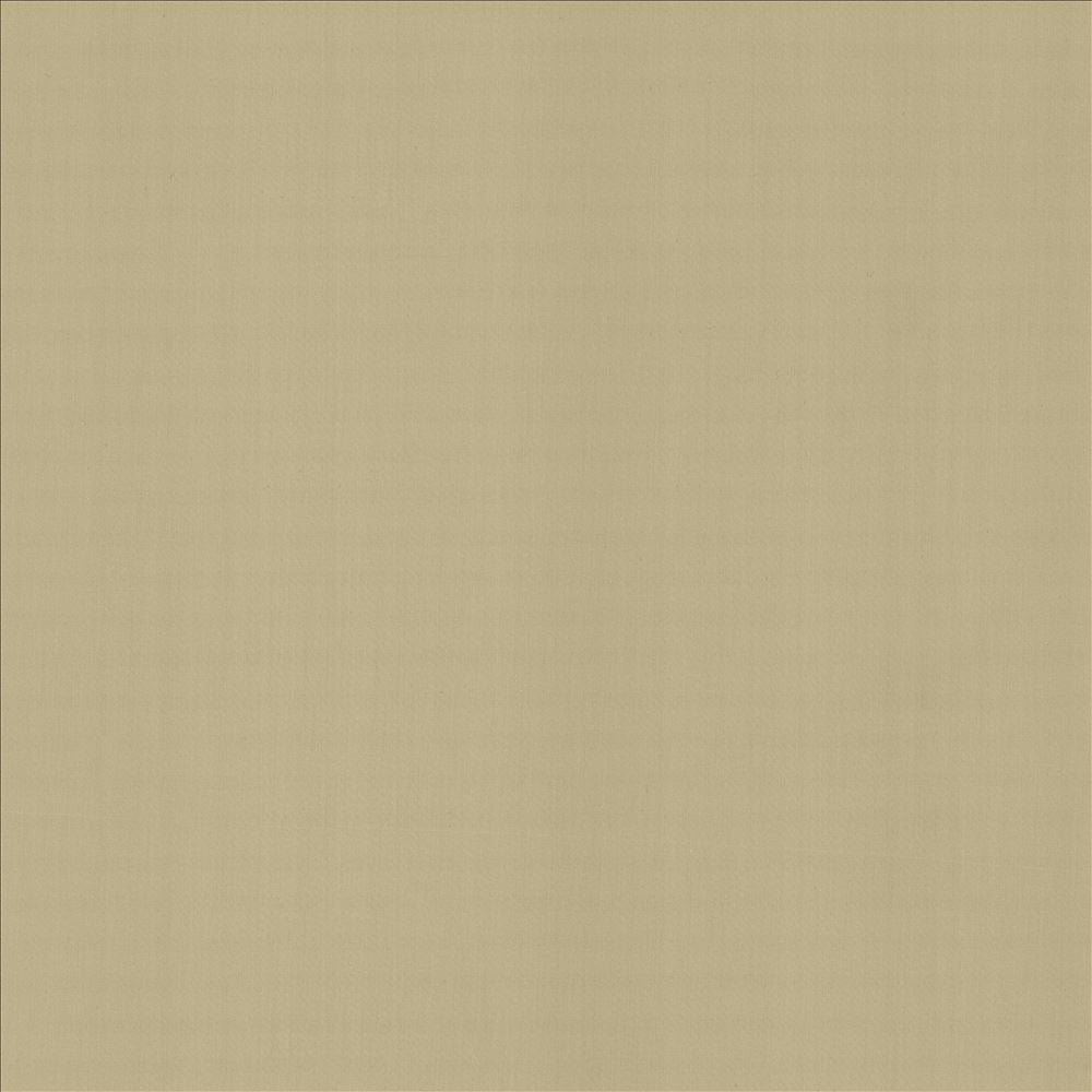 Perception Cement by Kasmir Fabric 5174 100% Cotton
 INDIA 21,000 Wyzenbeek Double Rubs </p><p>Repeat: Horizontal: N/A and Vertical: N/A 54 - Fabric Carolina -