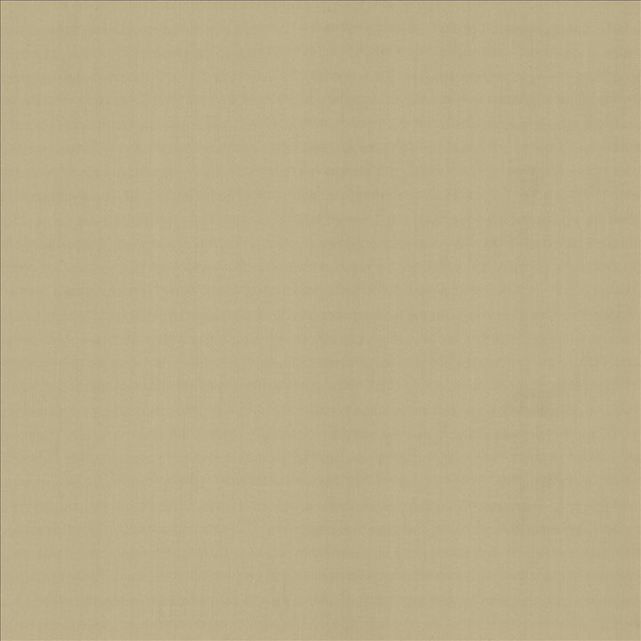Perception Cement by Kasmir Fabric 5174 100% Cotton
 INDIA 21,000 Wyzenbeek Double Rubs </p><p>Repeat: Horizontal: N/A and Vertical: N/A 54 - Fabric Carolina -