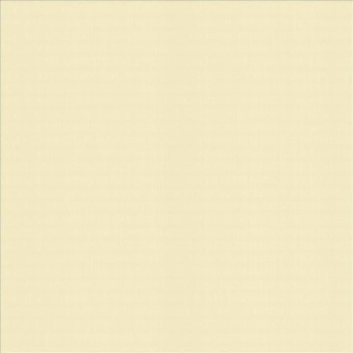 Perception Chamois by Kasmir Fabric 5174 100% Cotton
 INDIA 21,000 Wyzenbeek Double Rubs </p><p>Repeat: Horizontal: N/A and Vertical: N/A 54 - Fabric Carolina -