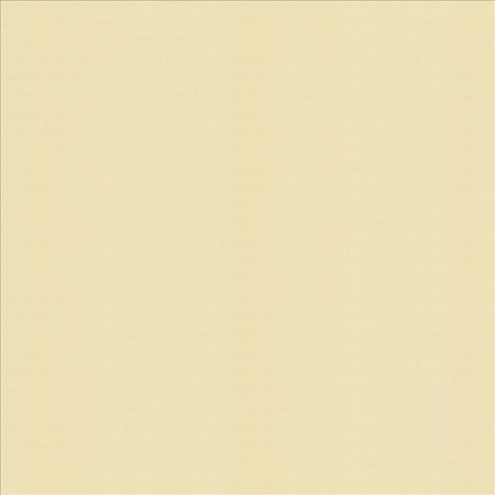 Perception Chamois by Kasmir Fabric 5174 100% Cotton
 INDIA </p><p>Repeat: Horizontal: N/A and Vertical: N/A 54 - Fabric Carolina -