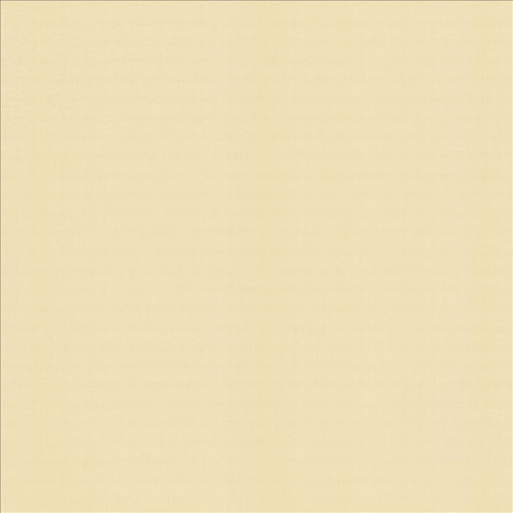 Perception Chamois by Kasmir Fabric 5174 100% Cotton
 INDIA </p><p>Repeat: Horizontal: N/A and Vertical: N/A 54 - Fabric Carolina -