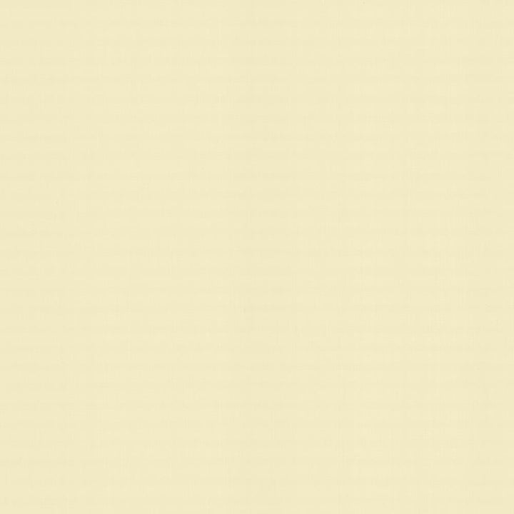 Perception Chamois by Kasmir Fabric 5174 100% Cotton
 INDIA </p><p>Repeat: Horizontal: N/A and Vertical: N/A 54 - Fabric Carolina -