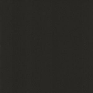 Perception Coal by Kasmir Fabric