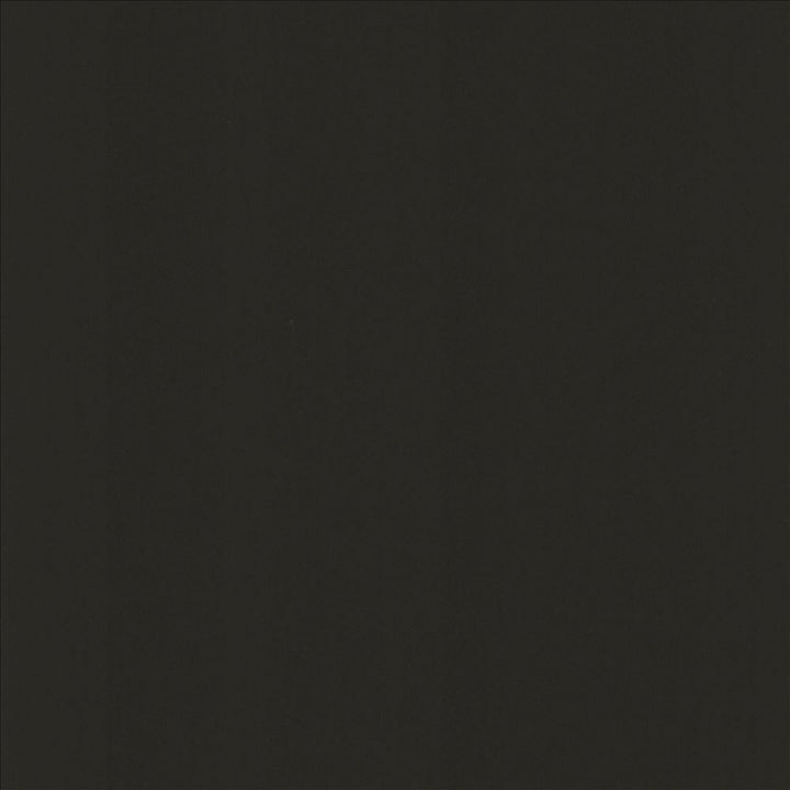 Perception Coal by Kasmir Fabric 5174 100% Cotton
 INDIA 21,000 Wyzenbeek Double Rubs </p><p>Repeat: Horizontal: N/A and Vertical: N/A 54 - Fabric Carolina -
