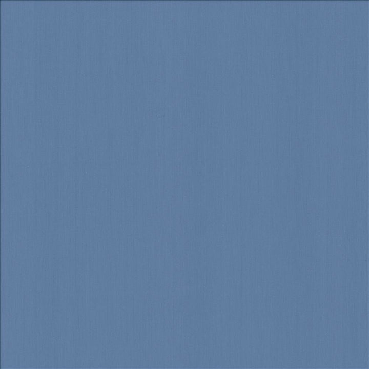 Perception Coastal by Kasmir Fabric 5174 100% Cotton
 INDIA 21,000 Wyzenbeek Double Rubs Horizontal: N/A and Vertical: N/A 54 - Fabric Carolina -