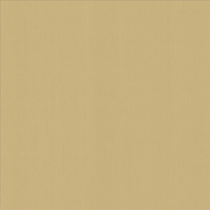 Perception Coconut  by Kasmir Fabric See sample 100% Cotton
 INDIA 21,000 Wyzenbeek Double Rubs </p><p>Repeat: Horizontal: N/A and Vertical: N/A 54  - Fabric Carolina -