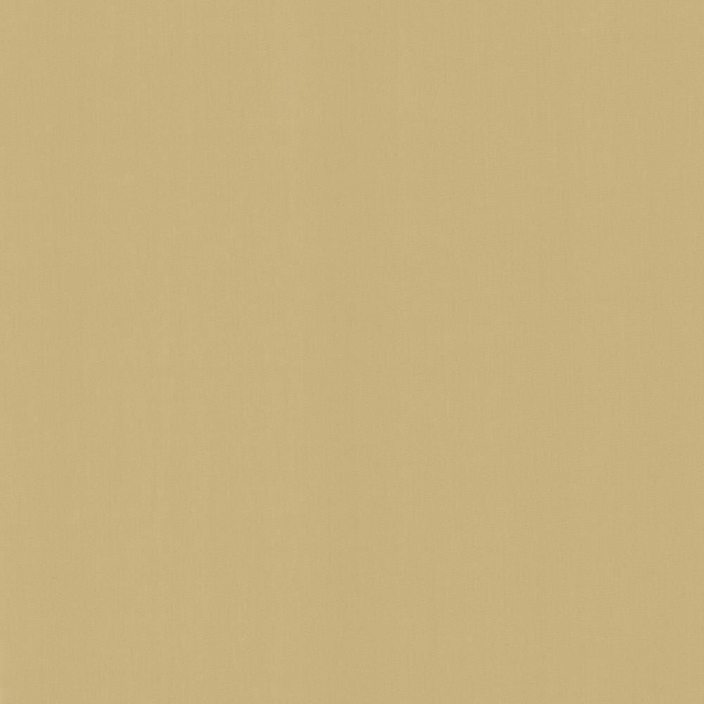 Perception Coconut by Kasmir Fabric 5174 100% Cotton
 INDIA </p><p>Repeat: Horizontal: N/A and Vertical: N/A 54 - Fabric Carolina -
