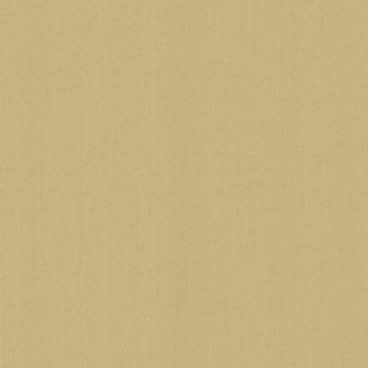 Perception Coconut by Kasmir Fabric 5174 100% Cotton
 INDIA </p><p>Repeat: Horizontal: N/A and Vertical: N/A 54 - Fabric Carolina -