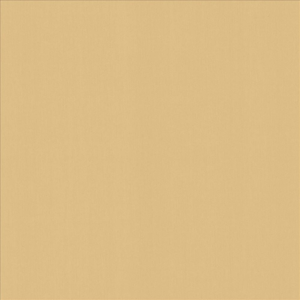 Perception Coconut by Kasmir Fabric 5174 100% Cotton
 INDIA </p><p>Repeat: Horizontal: N/A and Vertical: N/A 54 - Fabric Carolina -