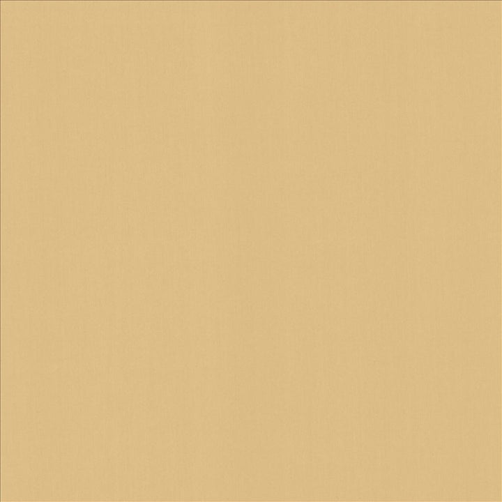 Perception Coconut by Kasmir Fabric 5174 100% Cotton
 INDIA </p><p>Repeat: Horizontal: N/A and Vertical: N/A 54 - Fabric Carolina -