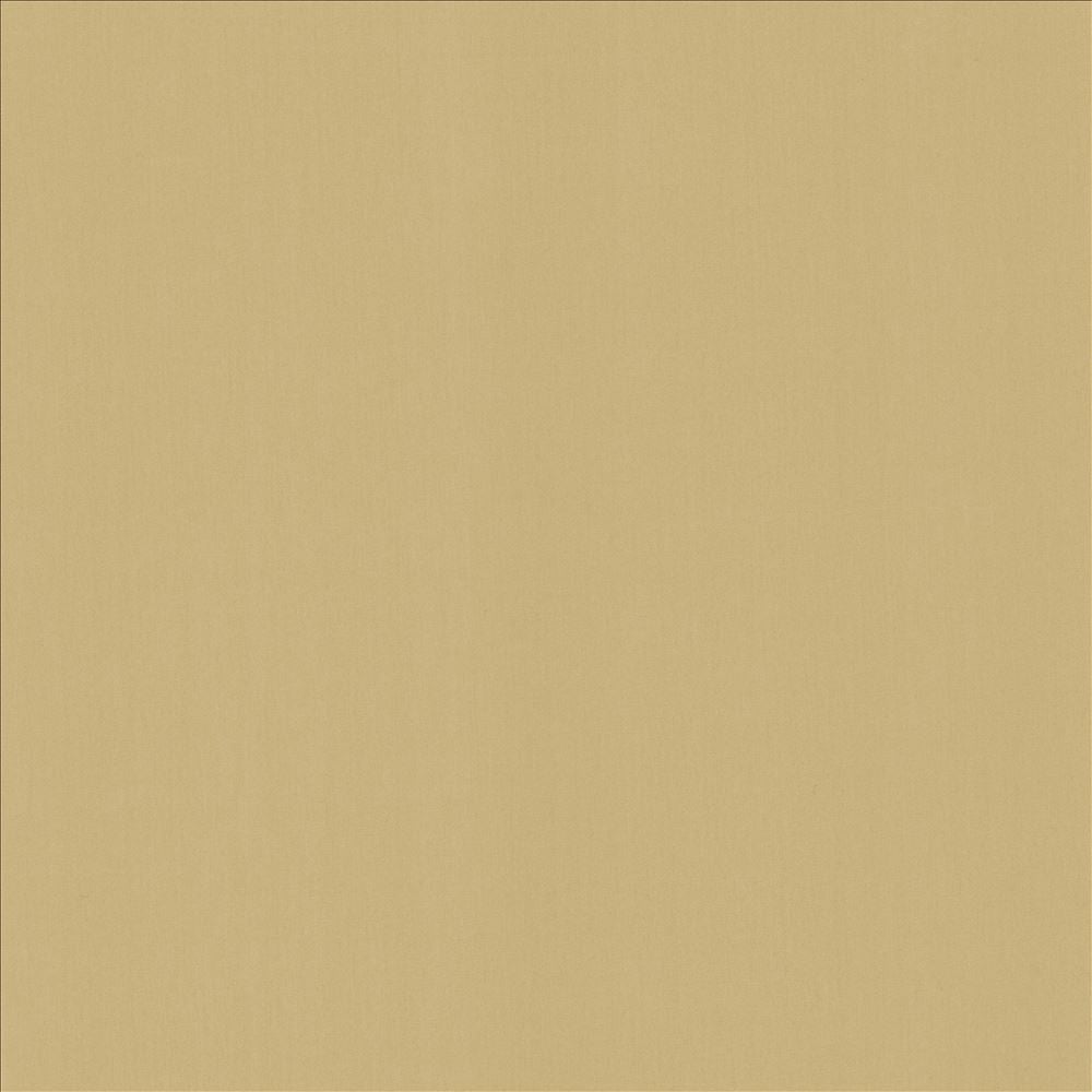 Perception Coconut by Kasmir Fabric 5174 100% Cotton
 INDIA 21,000 Wyzenbeek Double Rubs </p><p>Repeat: Horizontal: N/A and Vertical: N/A 54 - Fabric Carolina -