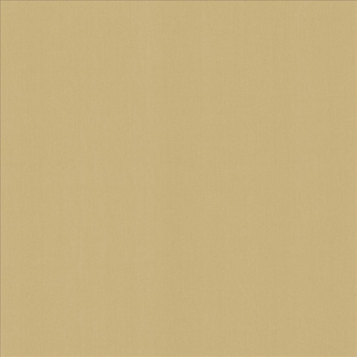 Perception Coconut by Kasmir Fabric 5174 100% Cotton
 INDIA 21,000 Wyzenbeek Double Rubs </p><p>Repeat: Horizontal: N/A and Vertical: N/A 54 - Fabric Carolina -