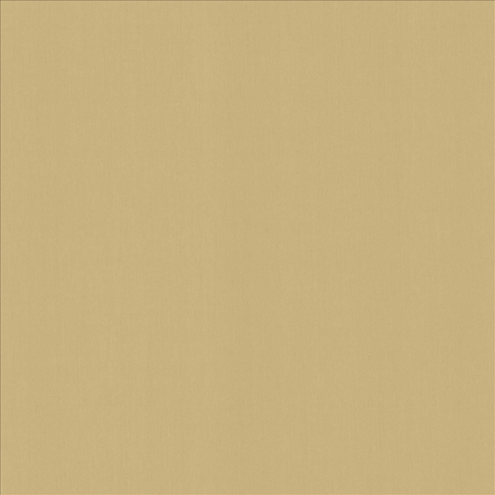 Perception Coconut by Kasmir Fabric 5174 100% Cotton
 INDIA 21,000 Wyzenbeek Double Rubs Horizontal: N/A and Vertical: N/A 54 - Fabric Carolina -