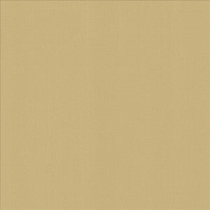 Perception Coconut by Kasmir Fabric