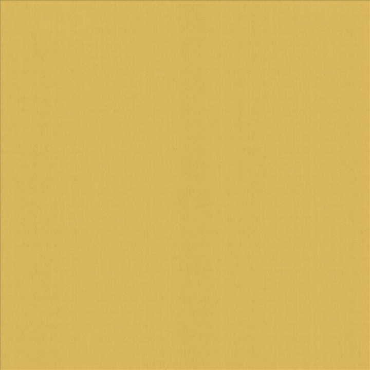 Perception Dandelion by Kasmir Fabric 5174 100% Cotton
 INDIA 21,000 Wyzenbeek Double Rubs Horizontal: N/A and Vertical: N/A 54 - Fabric Carolina -