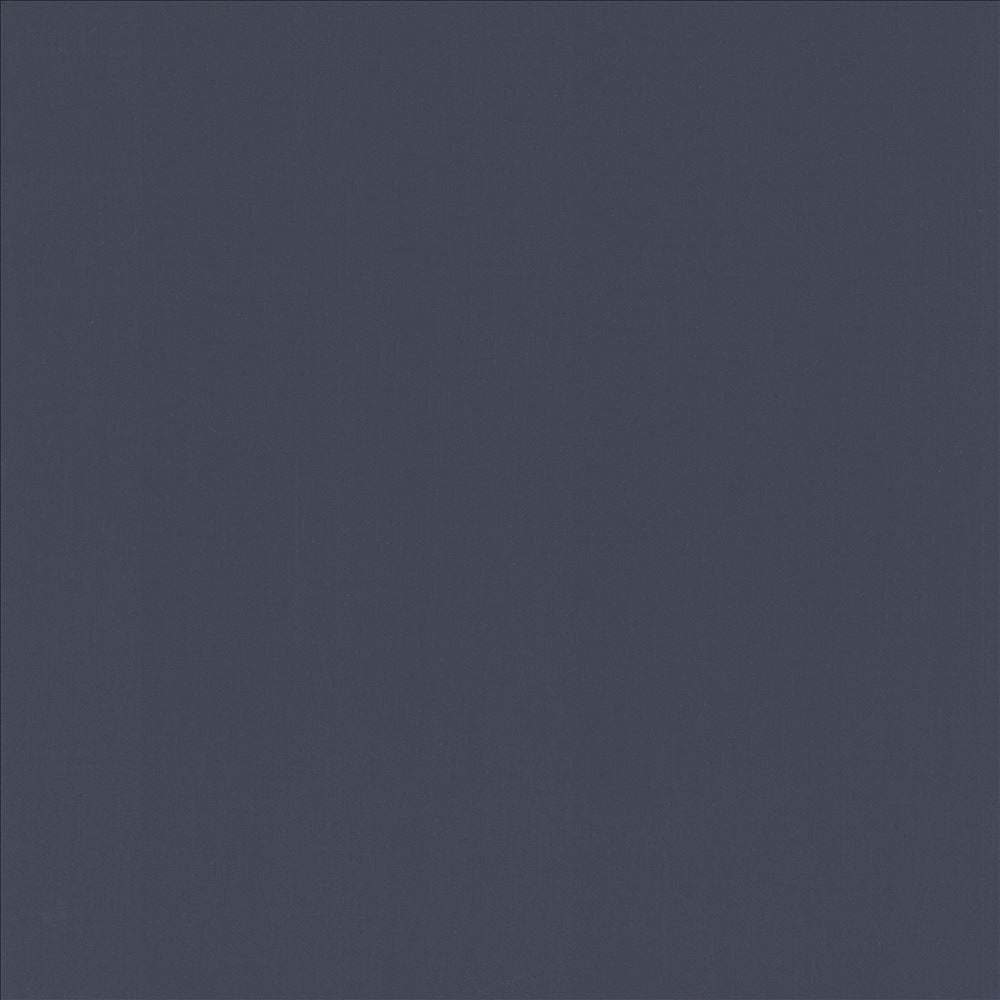 Perception Delft by Kasmir Fabric 5174 100% Cotton
 INDIA 21,000 Wyzenbeek Double Rubs </p><p>Repeat: Horizontal: N/A and Vertical: N/A 54 - Fabric Carolina -