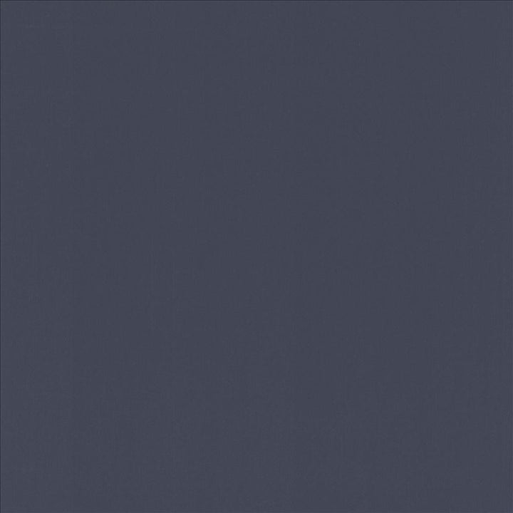 Perception Delft by Kasmir Fabric 5174 100% Cotton
 INDIA 21,000 Wyzenbeek Double Rubs </p><p>Repeat: Horizontal: N/A and Vertical: N/A 54 - Fabric Carolina -