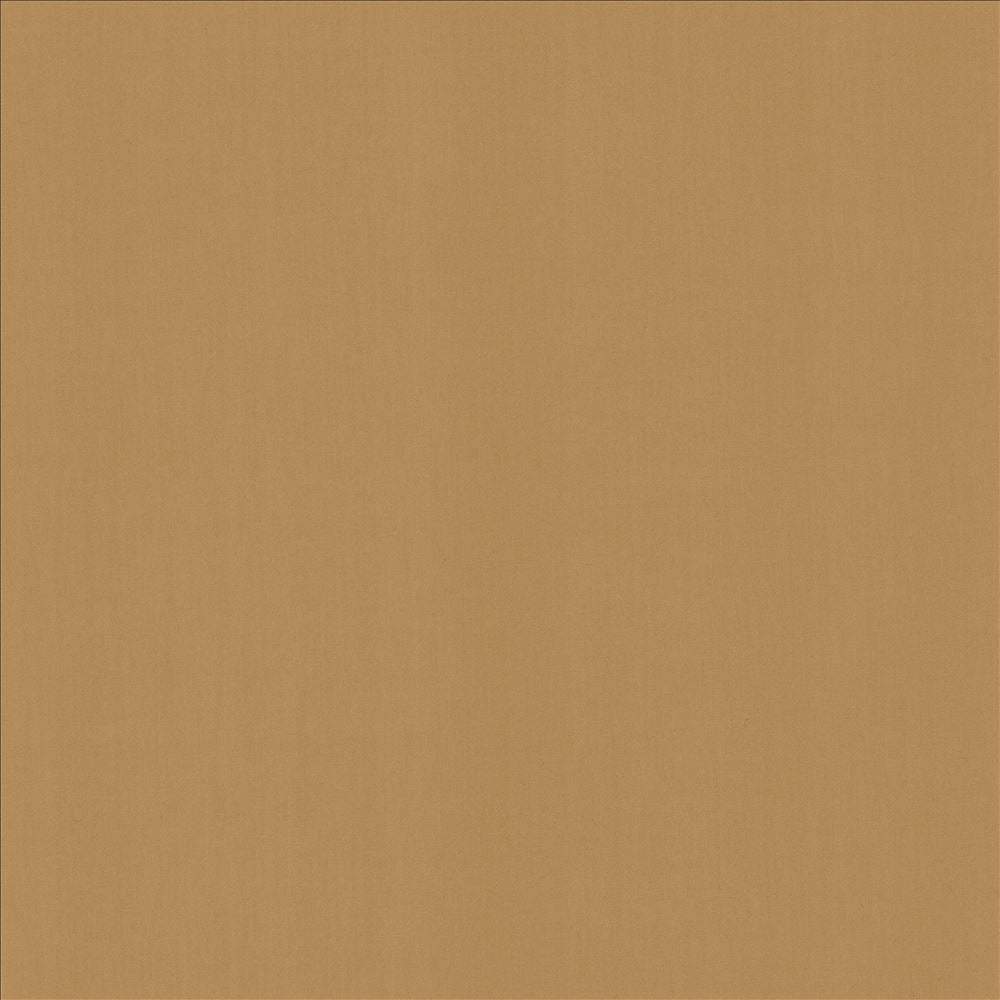 Perception Desert by Kasmir Fabric 5174 100% Cotton
 INDIA 21,000 Wyzenbeek Double Rubs Horizontal: N/A and Vertical: N/A 54 - Fabric Carolina -