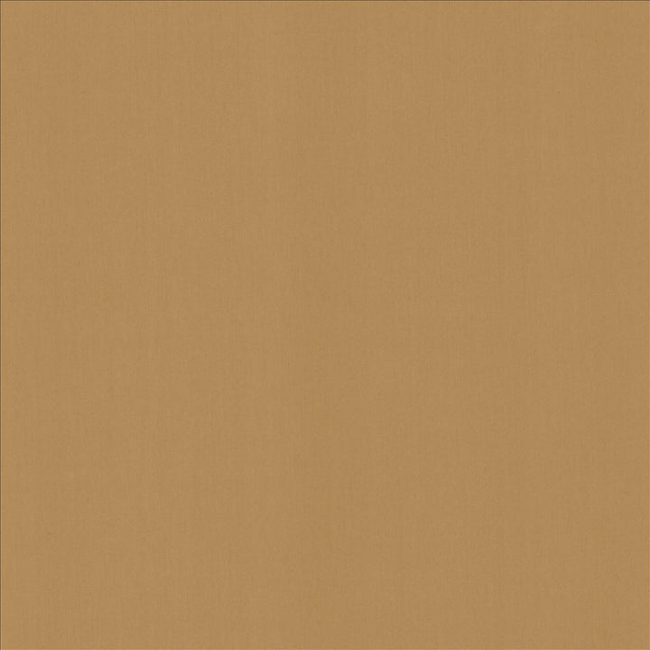 Perception Desert  by Kasmir Fabric See sample 100% Cotton
 INDIA 21,000 Wyzenbeek Double Rubs </p><p>Repeat: Horizontal: N/A and Vertical: N/A 54  - Fabric Carolina -