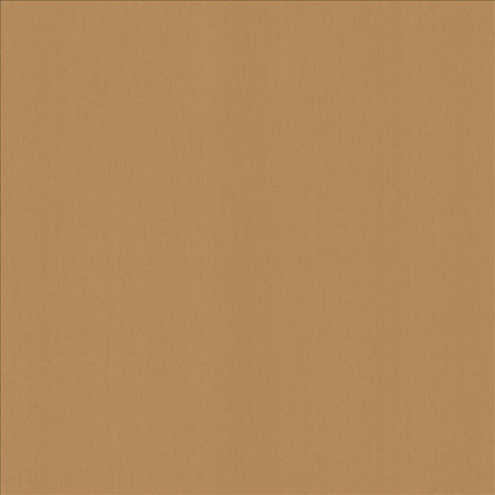 Perception Desert by Kasmir Fabric 5174 100% Cotton
 INDIA 21,000 Wyzenbeek Double Rubs </p><p>Repeat: Horizontal: N/A and Vertical: N/A 54 - Fabric Carolina -