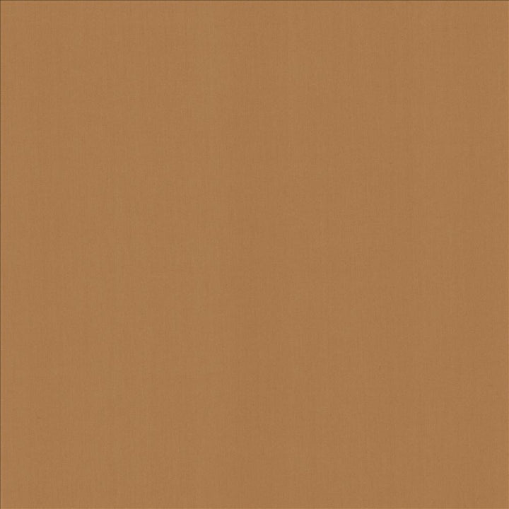 Perception Desert by Kasmir Fabric 5174 100% Cotton
 INDIA </p><p>Repeat: Horizontal: N/A and Vertical: N/A 54 - Fabric Carolina -